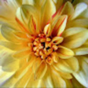 Meet your Posher, Marlinda